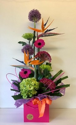 Front Facing Arrangement