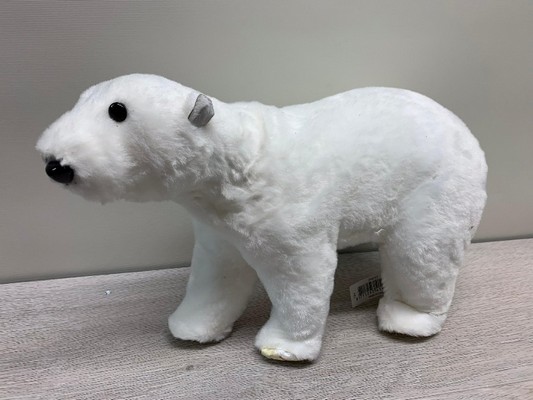 Polar bear