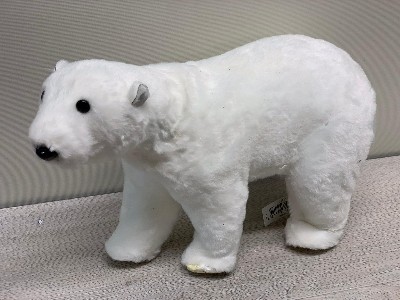 Polar bear