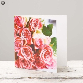 . Pink Rose Blank Greetings Card