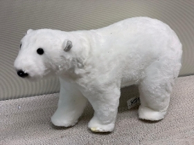 Polar bear