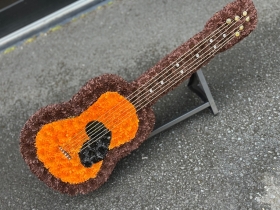 Guitar Trubute