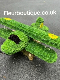 Bi plane Tribute